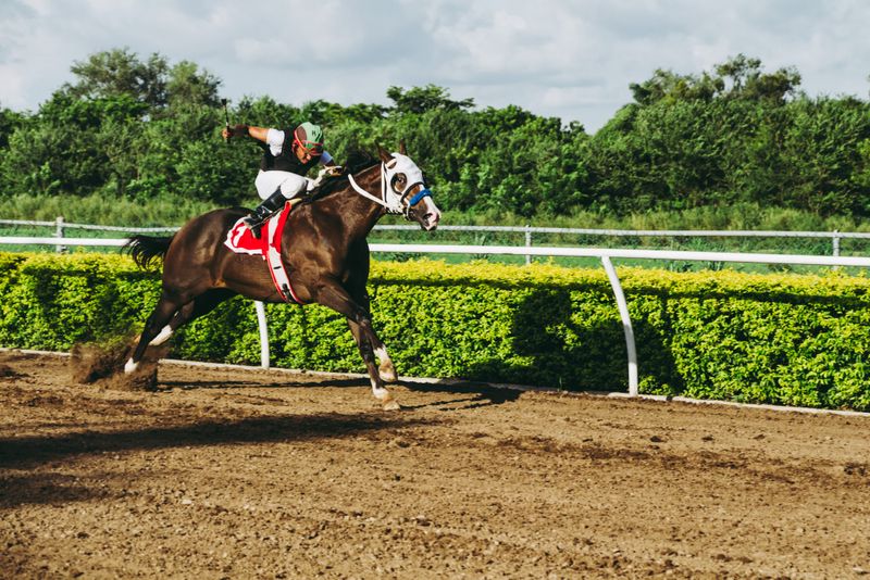 "Countdown to the Breeder's Cup: Forte, Tapit Trice, and Angel of Empire Impress in Final Workouts"breeder'scup,Forte,TapitTrice,AngelofEmpire,workouts