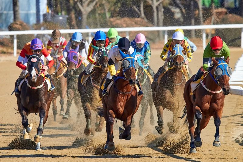 "Churchill Downs Must Address Safety Concerns After Two Horses Euthanized During Derby Week"horseracing,safetyconcerns,ChurchillDowns,euthanized,DerbyWeek