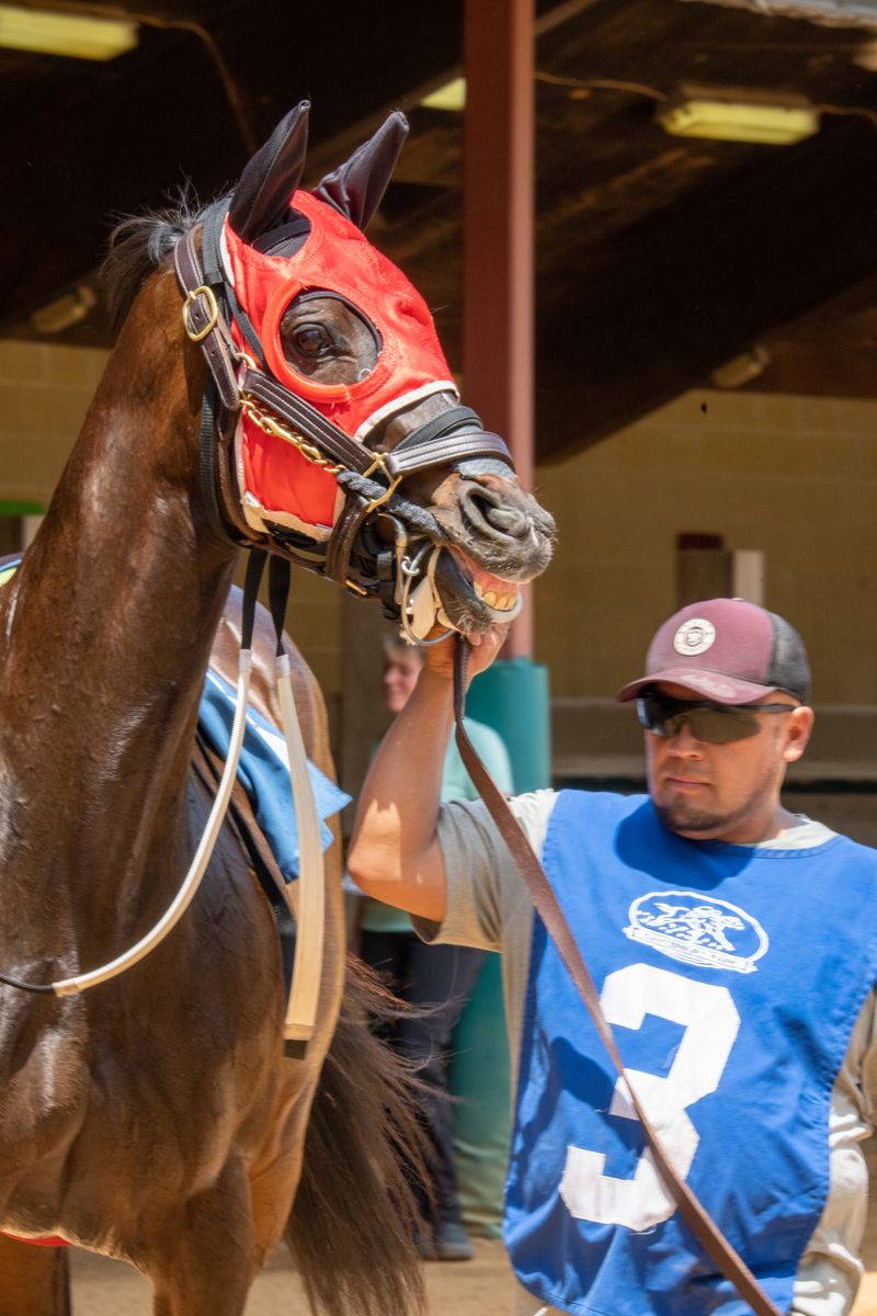 "National Treasure Claims Preakness Victory Amid Controversy and Triple Crown Uncertainty"horseracing,controversy,Preakness,NationalTreasure,TripleCrown