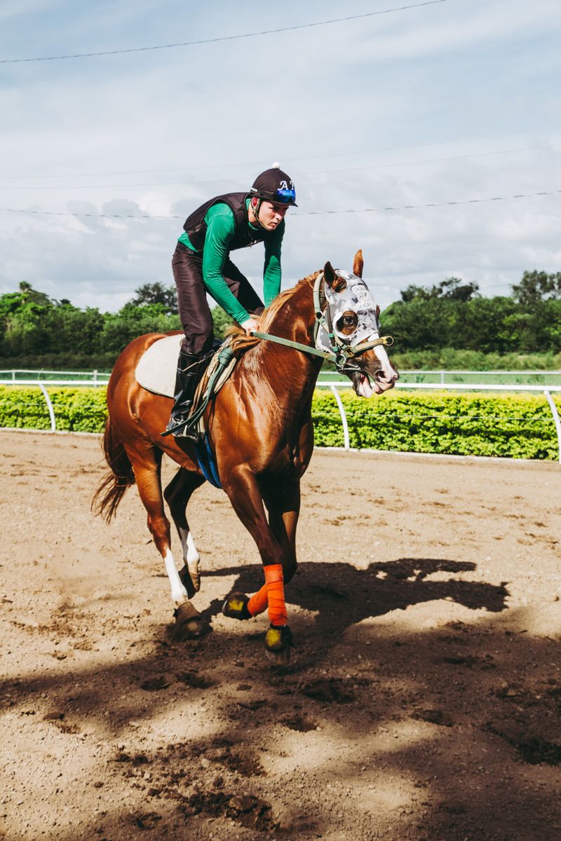 The Significance of National Treasure's Victory at the 2023 Preakness Stakeshorseracing,NationalTreasure,PreaknessStakes,victory,significance