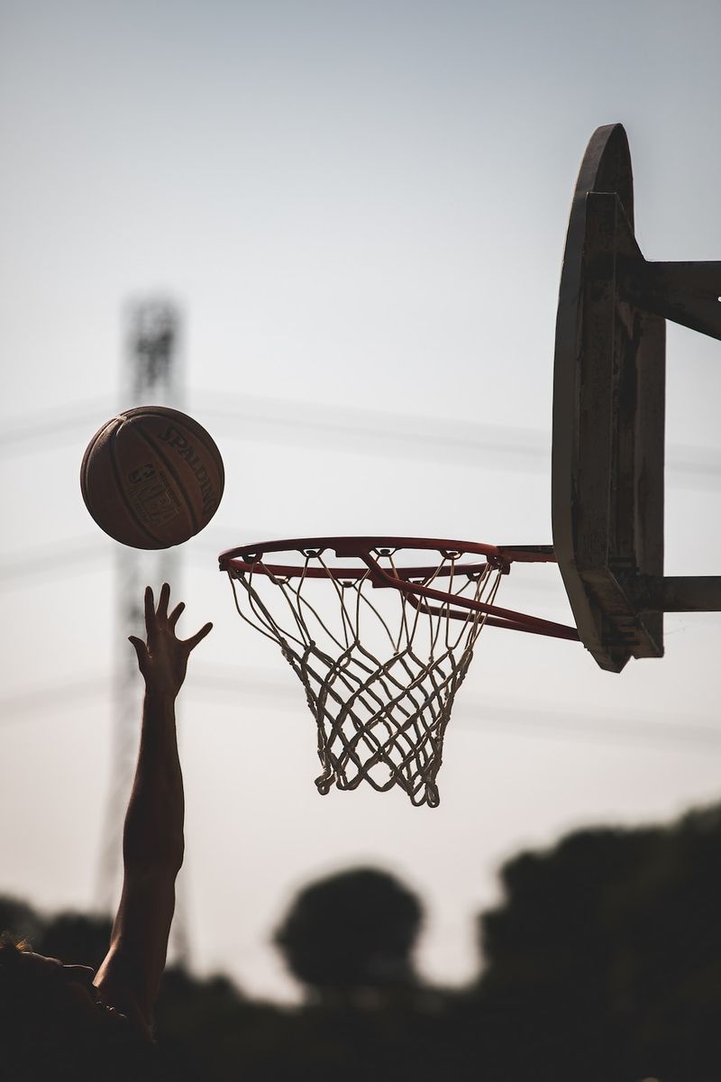 Exploring Scottie Pippen's criticism of Michael Jordan's abilities on the courtbasketball,ScottiePippen,MichaelJordan,court,criticism