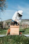 The Buzzworthy Truth: Unraveling Affair Claims, Beekeeping, and the Red Card Scandalwordpress,buzzworthy,truth,unraveling,affairclaims,beekeeping,redcardscandal