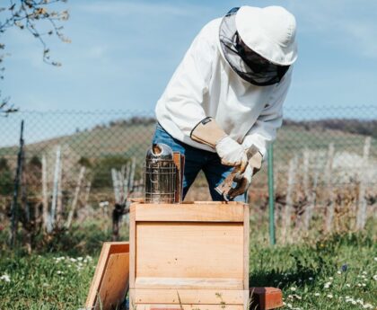 The Buzzworthy Truth: Unraveling Affair Claims, Beekeeping, and the Red Card Scandalwordpress,buzzworthy,truth,unraveling,affairclaims,beekeeping,redcardscandal