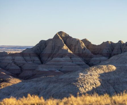 Cryptozoological Quest: Investigating Reports of a 'Bigfoot' Sighting in Southern Coloradocryptozoology,Bigfoot,sighting,SouthernColorado,investigation