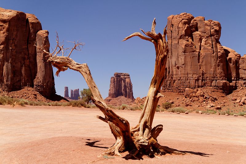 Tragedy on the Grand Canyon: Recovering the Fallen Mangrandcanyon,tragedy,recovery,fallenman