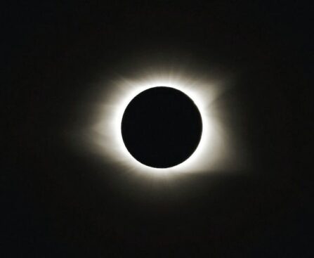 "Ring of Fire Eclipse: A Celestial Spectacle to Illuminate Our Skies"ringoffire,eclipse,celestialspectacle,skies