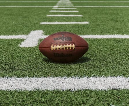 Inconsistent Offense and Vulnerable Defense: Unpacking the Rams vs. Bengals Gamesports,football,NFL,LosAngelesRams,CincinnatiBengals,offense,defense,analysis