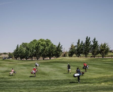 "Europe and USA Battle for Solheim Cup Victory: Day Two Recap and Analysis"solheimcup,europe,usa,golf,victory,recap,analysis