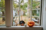 "Unveiling Creativity: Heidi Klum's Provocative Halloween Countdown"heidiklum,halloween,creativity,provocative,countdown