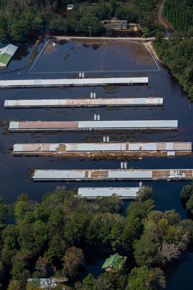 Florida Prepares for Potential Hurricane Idalia, Prompting Urgent Evacuations and Protective Measureshurricanepreparedness,emergencyevacuation,protectivemeasures,naturaldisaster,Florida,HurricaneIdalia