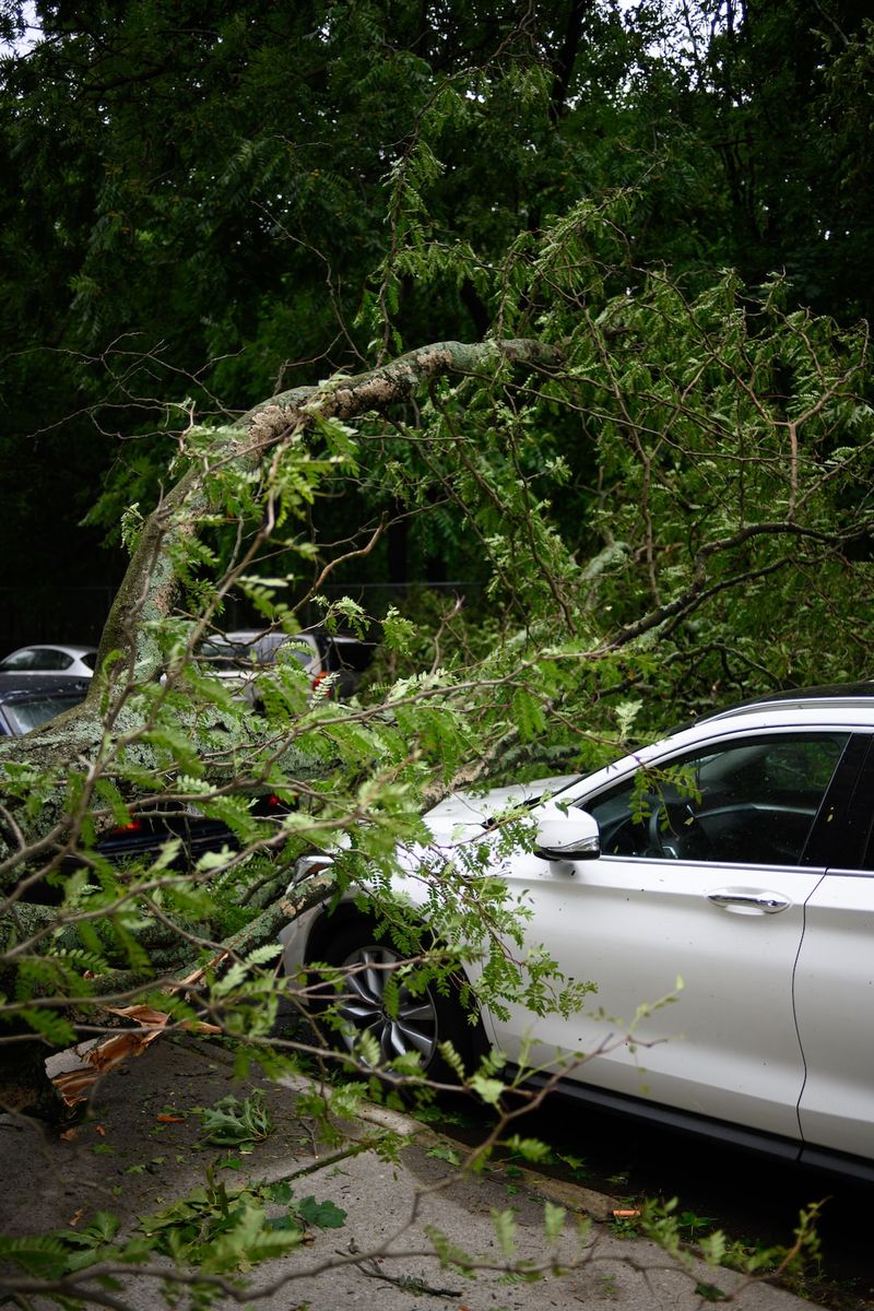 The Increasing Threat of Tropical Storms: Evacuations Begin along Florida's Gulf Coasttropicalstorms,Florida,GulfCoast,evacuations,naturaldisasters