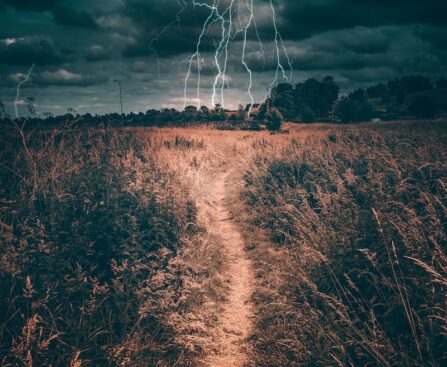 A Lightning Strike to Start the NHL Season: Tampa Bay Faces Off Against Nashvillesports,NHL,TampaBayLightning,NashvillePredators,seasonopener