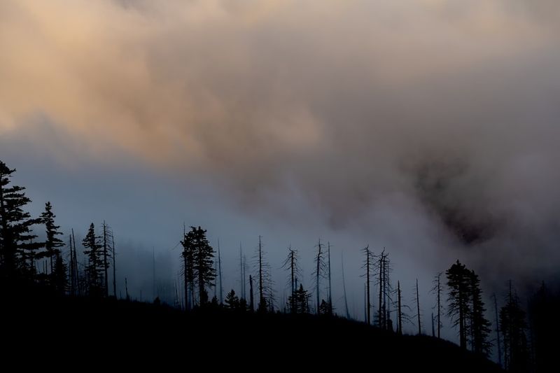 The Lingering Impact of Canada's Wildfires on Air Quality in the U.S.wildfires,Canada,airquality,U.S.